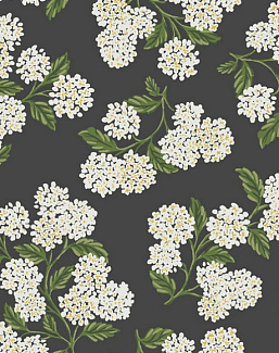 Обои York Rifle Paper Co RI5146