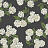 Обои York Rifle Paper Co RI5146