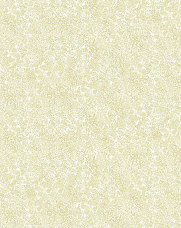 Обои York Rifle Paper Co RI5112