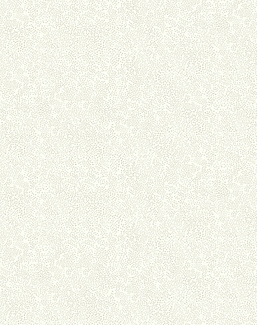 Обои York Rifle Paper Co RI5115