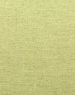 Обои Phillip Jeffries Performance Vinyl 8195