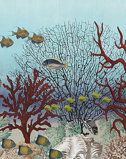Обои Iksel Standart Collection D-Ocean Still Life