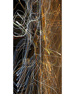 Обои Tecnografica Decorative Panels 78608-1