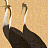 Панно и фотообои Misha Asia Cranes/Dark Gold