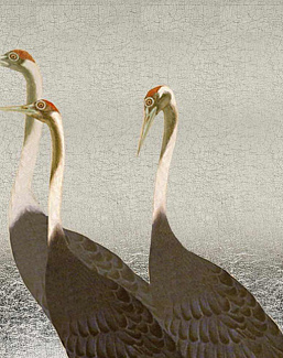 Панно и фотообои Misha Asia Cranes/Silver
