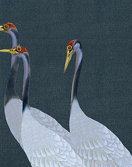 Панно и фотообои Misha Asia Cranes/Blu Notte