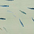 Панно и фотообои Misha Asia Fish/Silver Grey