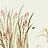 Панно и фотообои Misha Asia Orchids/Ivory