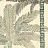 Панно и фотообои Misha Asia Palms/Ivory