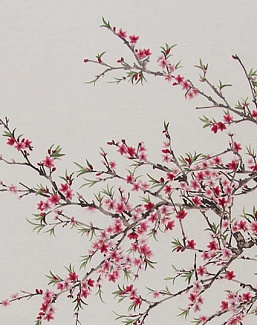 Панно и фотообои Misha Asia Spring Blossoms