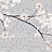 Панно и фотообои Misha Asia White Magnolia/Silver Craquele