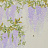 Панно и фотообои Misha Asia Wisteria/Butter