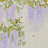 Панно и фотообои Misha Asia Wisteria/Butter