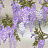 Панно и фотообои Misha Asia Wisteria/Silver
