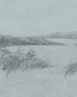 Обои Factura Collection 2022 REEDS/5