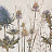 Обои Factura Collection 2022 TERRA/3