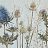 Обои Factura Collection 2022 TERRA/4