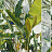 Обои Factura Collection 2022 FLESSIONE/1