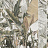 Обои Factura Collection 2022 FLESSIONE/3