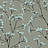 Обои Paper & Ink Natural Silhouettes NS50308