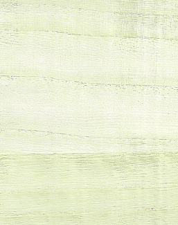 Обои Paper & Ink Natural Silhouettes NS52103
