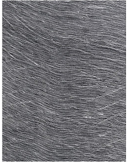 Обои Mahieu Sculpture Sculpture/Charcoal