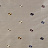 Ткань James Hare Regal Silk Vol 3 31531/04
