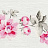 Бордюр Casadeco Lily Rose LLR21224918