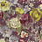 Обои Designers Guild Caprifoglio Wallpapers PDG675-04