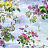 Панно и фотообои Designers Guild Caprifoglio Wallpapers PDG676-01