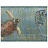 Бордюр Chesapeake Sand Dollar DLR53533B