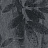 Обои Fardis Splendore 10319