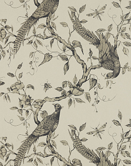 Обои Zoffany Darnley 312849