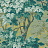 Обои Zoffany Darnley 312857