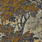 Обои Zoffany Darnley 312858