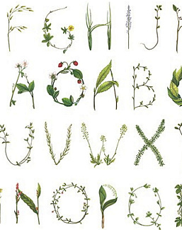 Панно и фотообои Rebel Walls No 11 Bouquet R13195