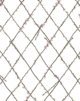 Панно и фотообои Rebel Walls No 11 Bouquet R13221