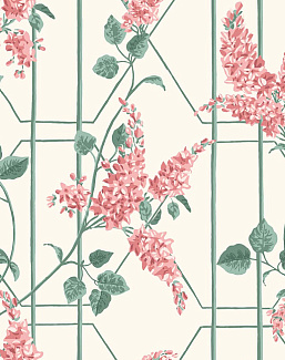 Обои Cole & Son Botanical Botanica 115/5012