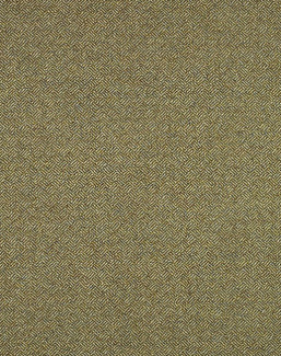 Ткань Abraham Moon Parquet Wool U1228/PX50