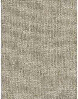 Ткань Fabricut Natural Nuances Vignettes Oyster QuercusBoucle/Zinc