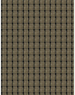 Ткань Fabricut Natural Nuances Vignettes Java OsageCheck/Noir