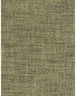 Ткань Fabricut Natural Nuances Vignettes Juniper Sisalana/Forest