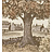 Ткань Lewis & Wood Voysey park LW178316