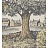 Ткань Lewis & Wood Voysey park LW178315