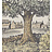 Ткань Lewis & Wood Voysey park LW178315