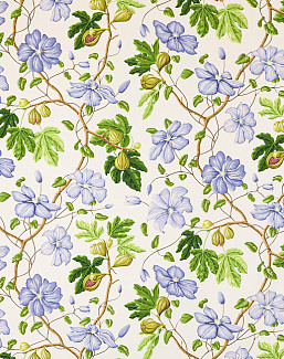 Ткань Manuel Canovas Castellane M4098/01