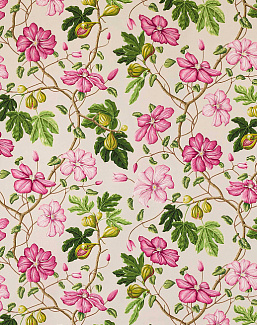 Ткань Manuel Canovas Castellane M4098/02