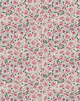 Ткань Designers Guild Picture Book Prints FJD6000/01