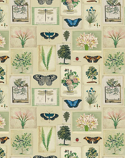 Ткань Designers Guild Picture Book Prints FJD6007/01