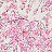Ткань Designers Guild Shanghai Garden FDG2293/02
